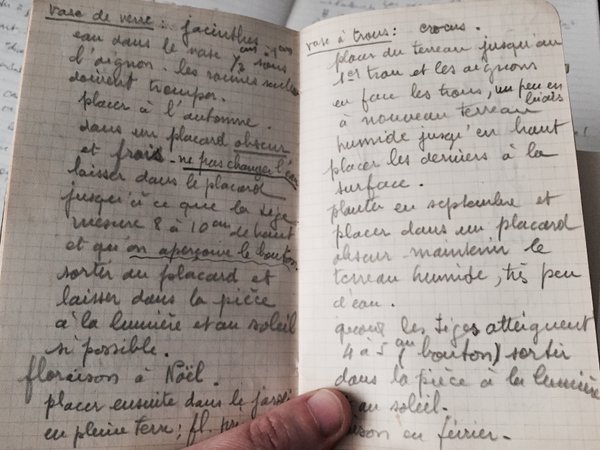 Mais en plein milieu des pages du voyage, il y a une petite digression avec des pages "jardinage" #Madeleineproject https://t.co/4r1SYOToSX