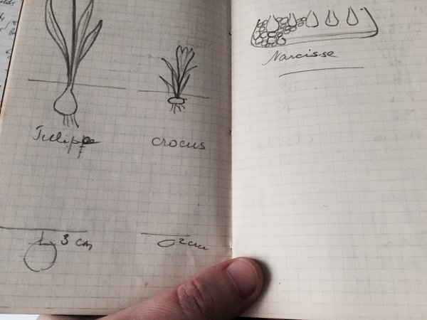 Tu notes comment bien planter les jacinthes et les crocus, tu t'aides même avec des petits dessins #Madeleineproject https://t.co/z2Yed2z1Ka